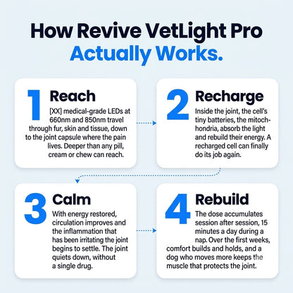 Revive VetLight Pro