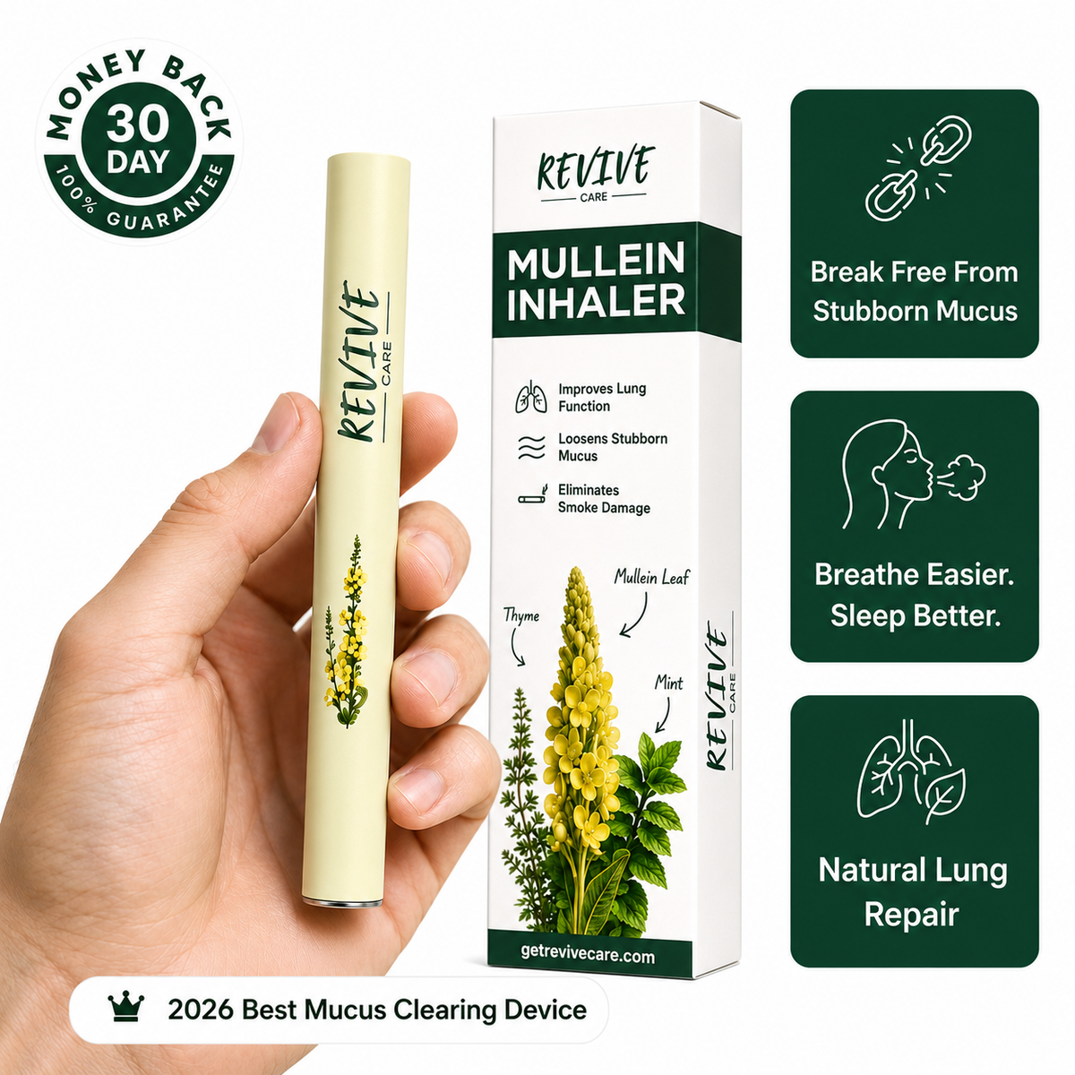 Revive - Mullein Purifier