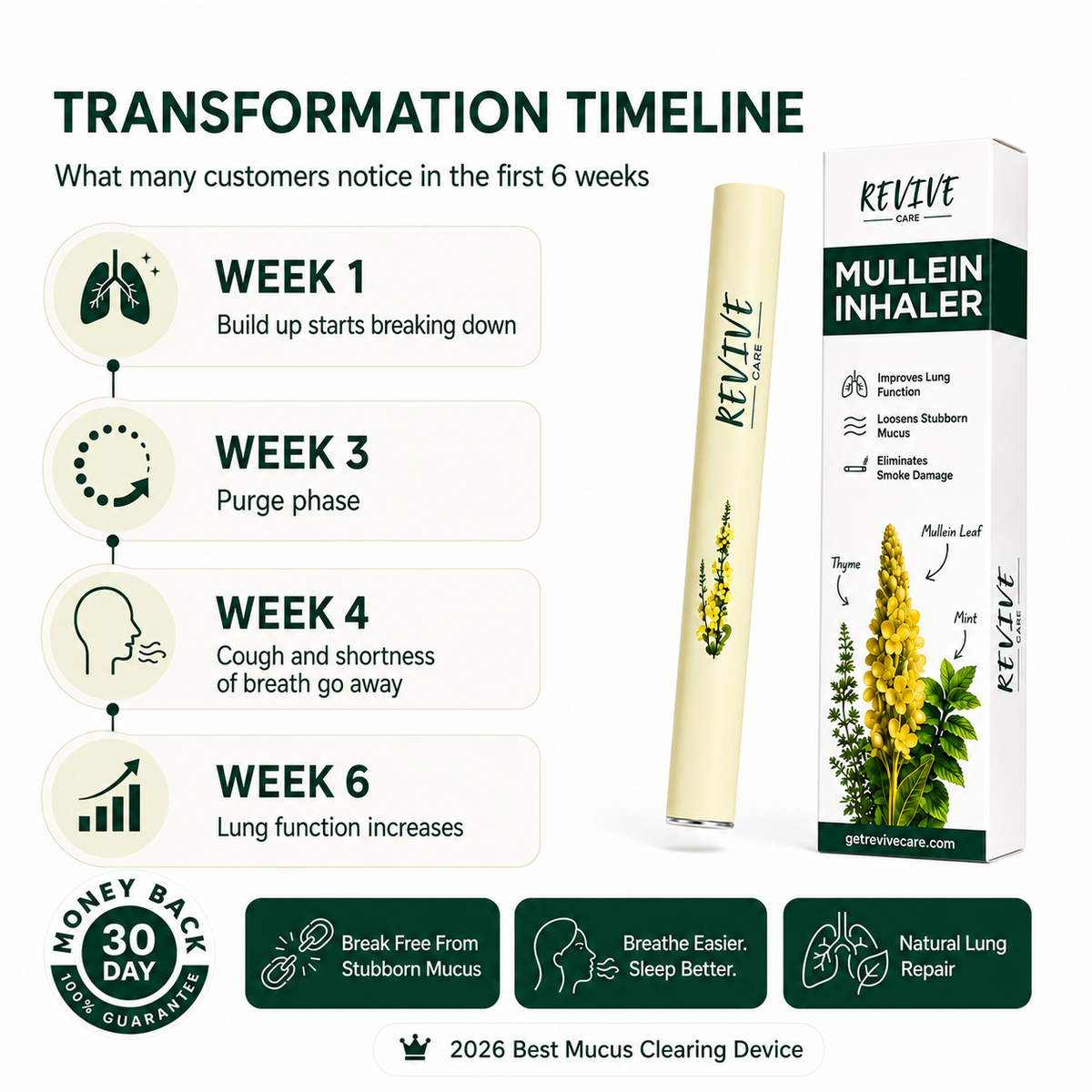 Revive - Mullein Purifier