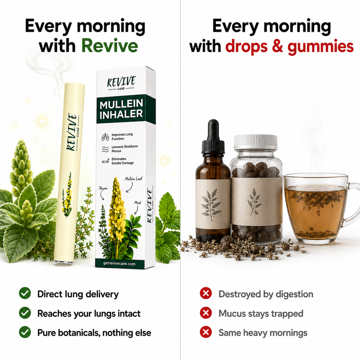 Revive - Mullein Purifier