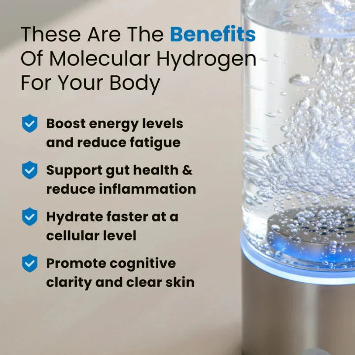 H2 Guardian Hydrogen Water System